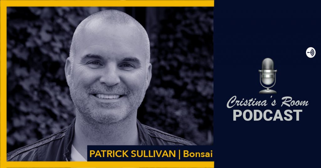 Patrick Sullivan, CEO and Founder at Bonsai Startup Stories